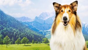 Lassie - A New Adventure's poster