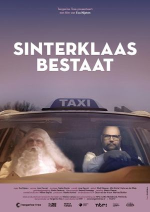 Sinterklaas Bestaat's poster