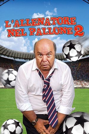 L'allenatore nel pallone 2's poster
