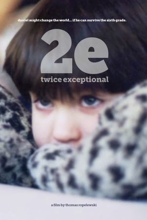 2e: Twice Exceptional's poster image