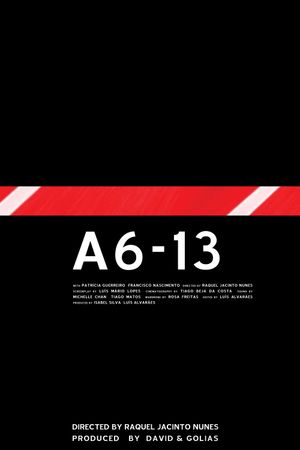 A6-13's poster