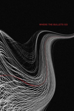 Where the Bullets Go's poster