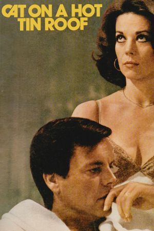 Cat on a Hot Tin Roof's poster