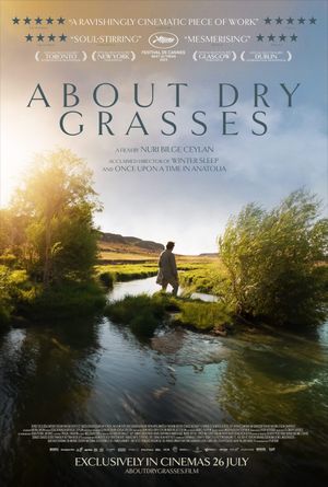 About Dry Grasses's poster