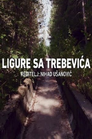 Ligure sa Trebevica's poster image
