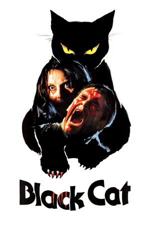 The Black Cat's poster