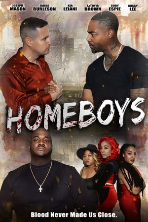 Homeboys's poster image