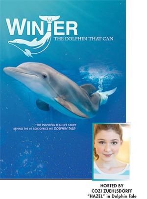 Winter, the Dolphin That Can's poster