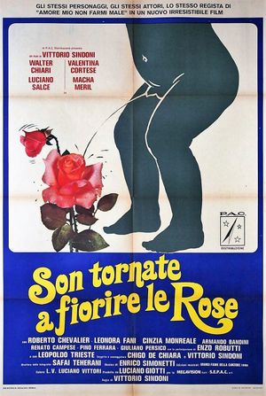 Son tornate a fiorire le rose's poster image
