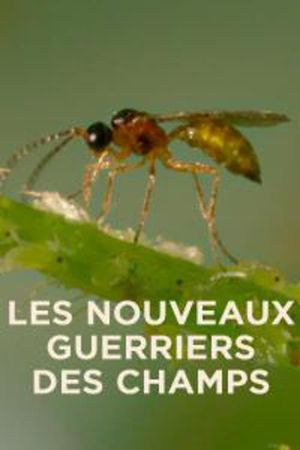 Les nouveaux guerriers des champs's poster