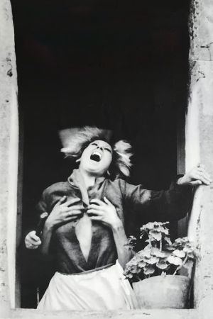 The Howl's poster