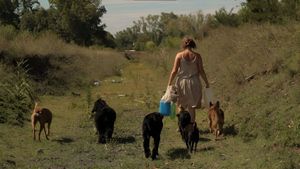 La mujer de los perros's poster