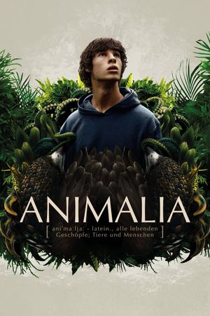 Animalia's poster
