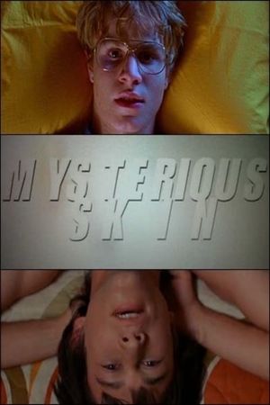 Mysterious Skin's poster
