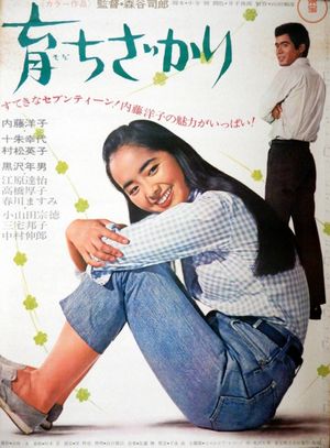 Sodachi zakari's poster