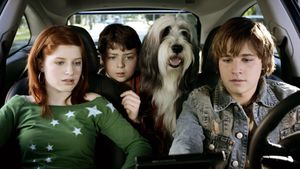 The Shaggy Dog's poster