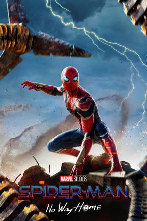 Spider-Man: No Way Home's poster