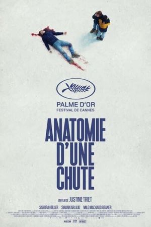 Anatomy of a Fall's poster