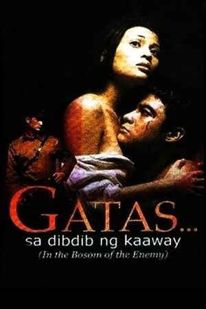 In the Bosom of the Enemy's poster