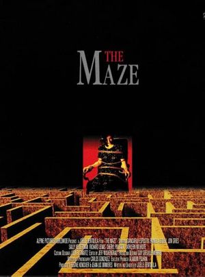 The Maze's poster image