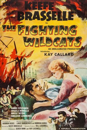 The Fighting Wildcats's poster image