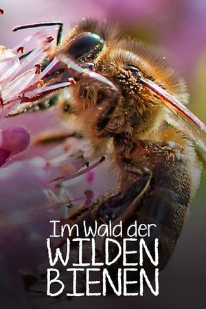 Im Wald der wilden Bienen's poster