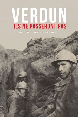 Verdun - They will not pass!'s poster
