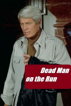 Dead Man on the Run's poster image