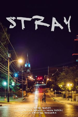 Stray's poster image