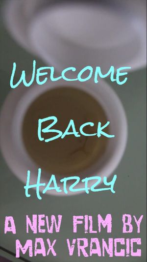 Welcome Back Harry's poster image