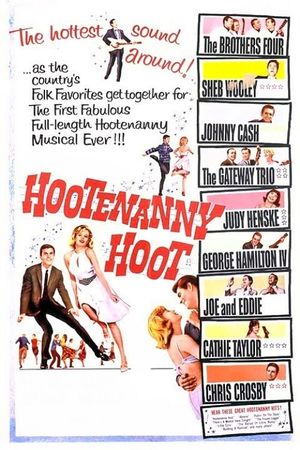 Hootenanny Hoot's poster image