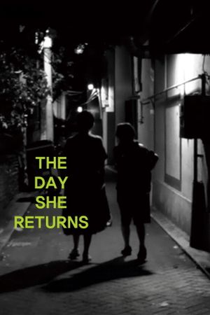 The Day She Returns's poster image