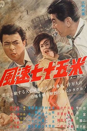 Typhoon Reporter's poster