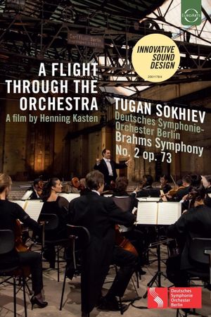 A Flight Through the Orchestra's poster