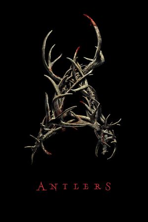 Antlers's poster