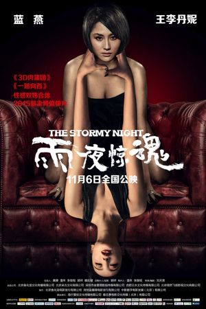 The Stormy Night's poster