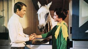 The Horse in the Gray Flannel Suit's poster