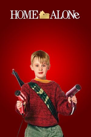 Home Alone's poster