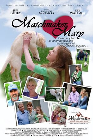 Matchmaker Mary's poster