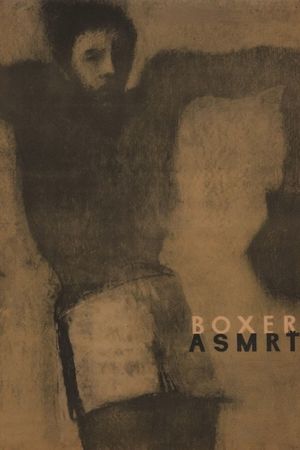 The Boxer and Death's poster