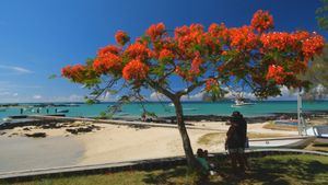 Mauritius - Die Fernwehmacher unterwegs im Tropenparadies's poster