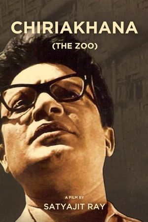The Zoo's poster