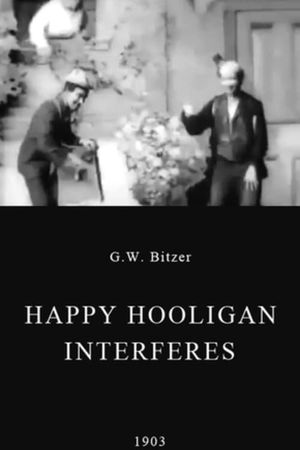Happy Hooligan Interferes's poster