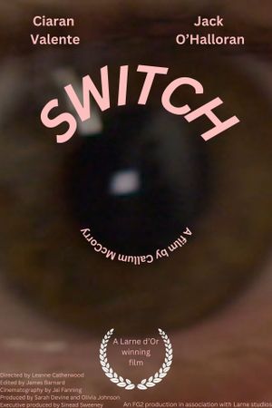 Switch's poster