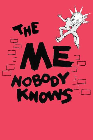 The Me Nobody Knows's poster image
