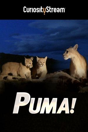 Puma!'s poster