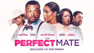 The Perfect Mate's poster
