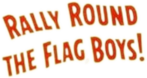 Rally 'Round the Flag, Boys!'s poster