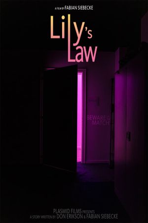 Lily's Law's poster