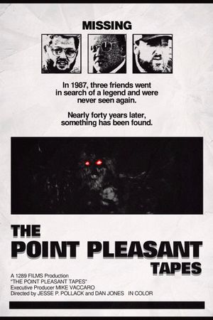 The Point Pleasant Tapes's poster